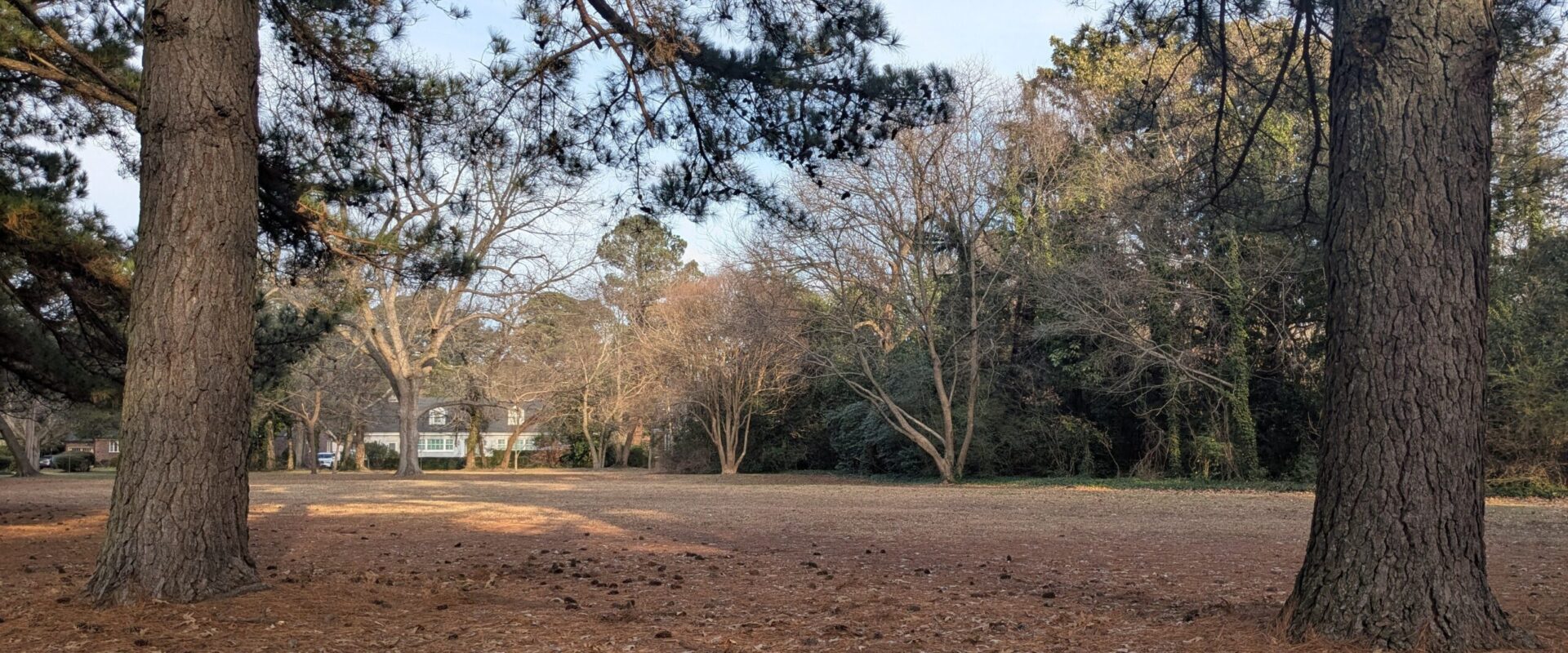 Algonquin Park Civic League Meeting