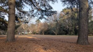 Cohoon Field in Algonquin Park, Norfolk, Virginia