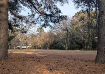 Algonquin Park Civic League Meeting